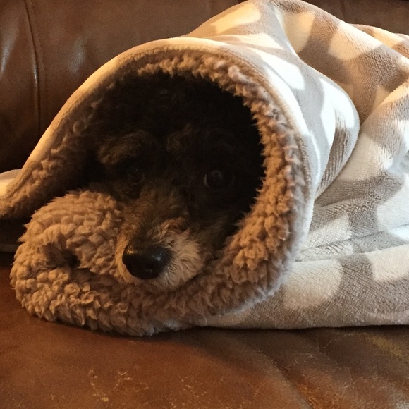 Meet your Posher, Melissa - Picture 1 of 1